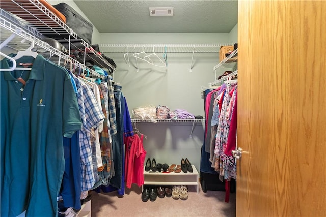 74 Twin Peak Dr, Holiday Island, AR 72631 - walk in closet with carpet
