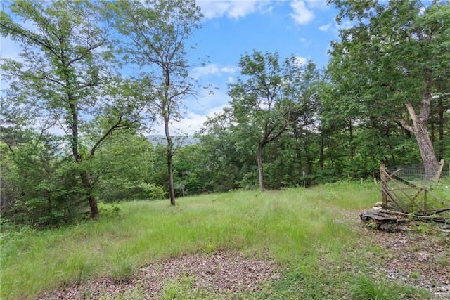 74 Twin Peak Dr, Holiday Island, AR 72631 - view of yard featuring a forest view