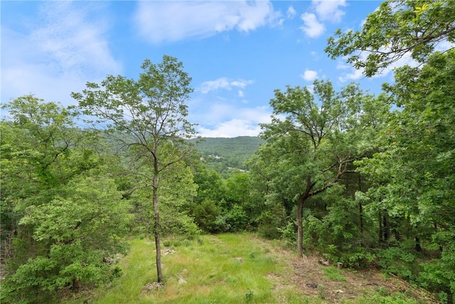 74 Twin Peak Dr, Holiday Island, AR 72631 - mountain view with a forest