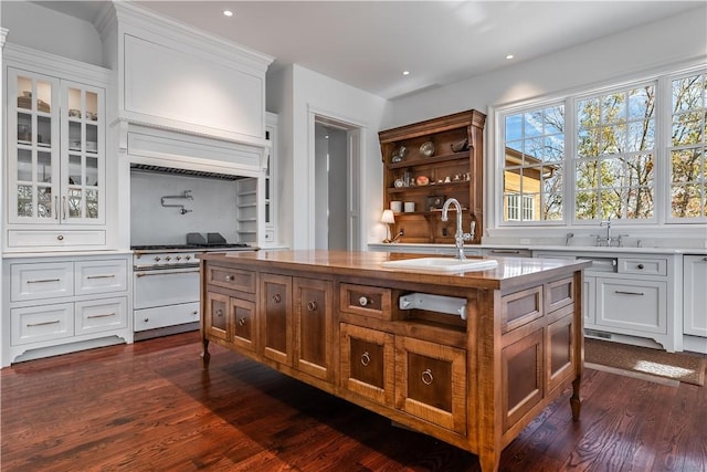 10760 Sugar Creek Rd, Bentonville, AR 72751 - kitchen featuring a sink, dark wood finished floors, white cabinetry, glass insert cabinets, and recessed lighting