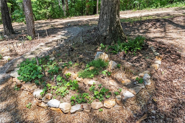 55 County Road 1081, Eureka Springs, AR 72632
