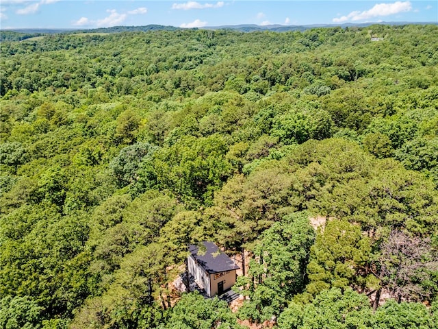 55 County Road 1081, Eureka Springs, AR 72632