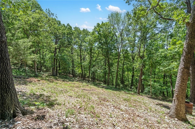 55 County Road 1081, Eureka Springs, AR 72632 - photo 1