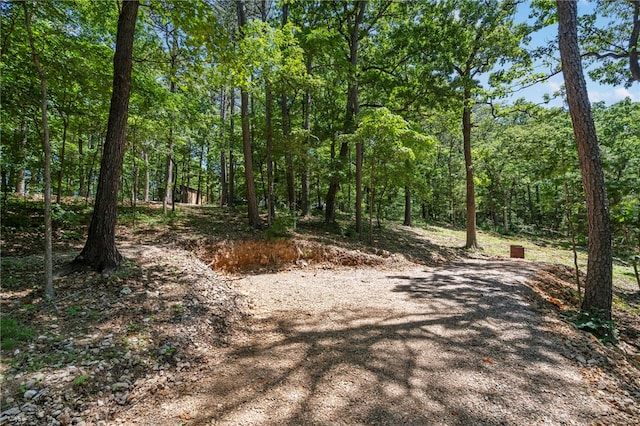 55 County Road 1081, Eureka Springs, AR 72632