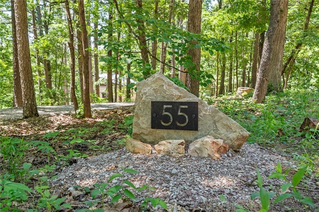 55 County Road 1081, Eureka Springs, AR 72632 - photo 5