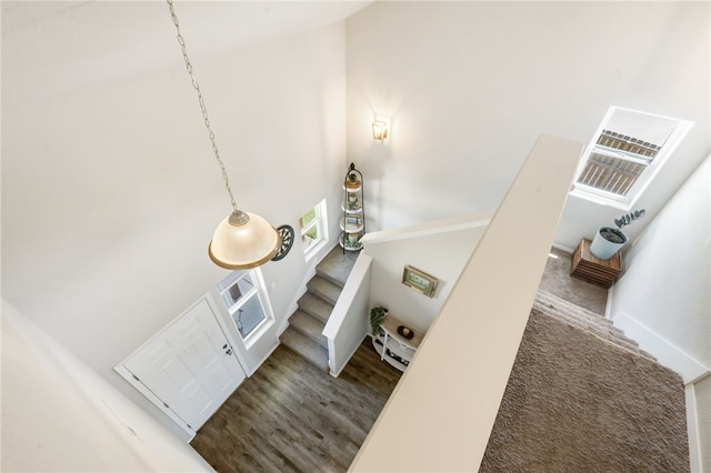 5003 W Claxton Cir, Fayetteville, AR 72704 - stairway with a towering ceiling, wood finished floors, and carpet floors