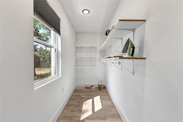 312 NW J St, Bentonville, AR 72712 - walk in closet featuring light wood-type flooring