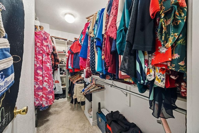 2977 Quartz Dr, Fayetteville, AR 72704 - spacious closet featuring carpet flooring