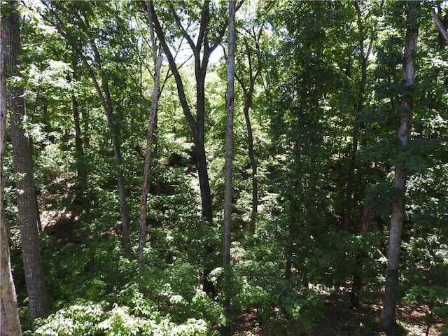 6 Marionet Cir, Bella Vista, AR 72714 - view of wooded area