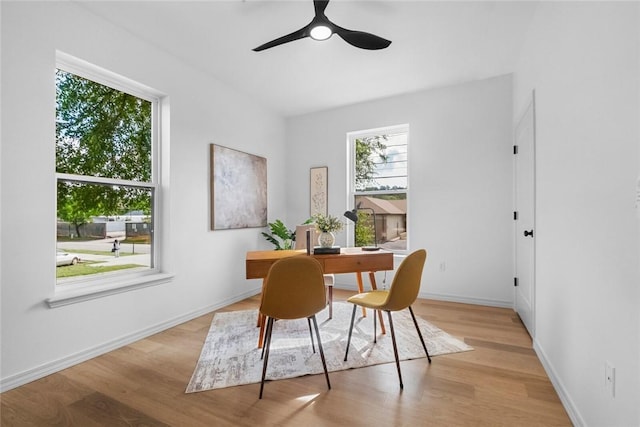 1115 N Leverett Ave Unit 102, Fayetteville, AR 72703 - office area featuring light wood-style flooring, ceiling fan, and baseboards