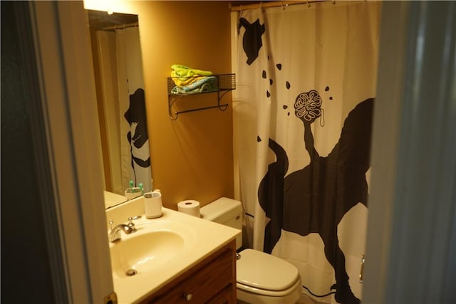 2655 S Elmira Ave, Russellville, AR 72802 - full bath with toilet, vanity, and a shower with shower curtain