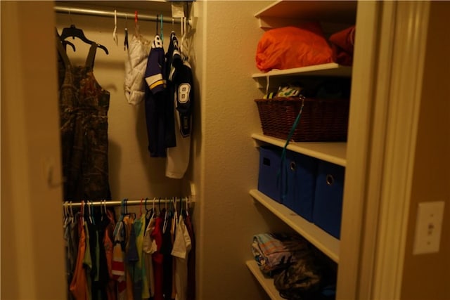 2655 S Elmira Ave, Russellville, AR 72802 - view of walk in closet