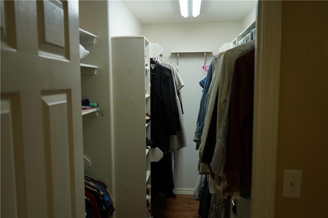 2655 S Elmira Ave, Russellville, AR 72802 - walk in closet featuring wood finished floors