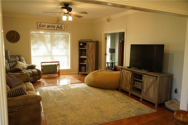 2655 S Elmira Ave, Russellville, AR 72802 - living area featuring wood finished floors, a ceiling fan, and ornamental molding