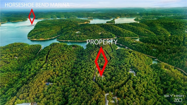 8775 Falls Hollow Rd, Rogers, AR 72756 - aerial view of property's location featuring a nearby body of water and a heavily wooded area