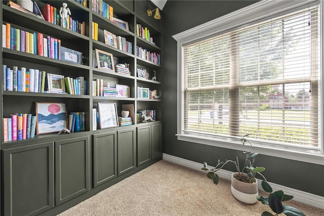 13 Dawn Hills Dr, Bentonville, AR 72712 - living area featuring carpet and baseboards