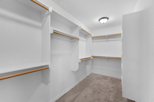 7326 Drury Ave, Springdale, AR 72762 - walk in closet with carpet flooring
