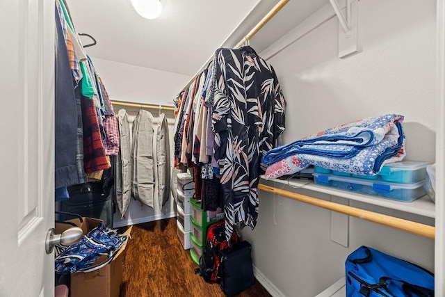 340 Mckissic Spring Rd, Centerton, AR 72719 - spacious closet featuring wood finished floors