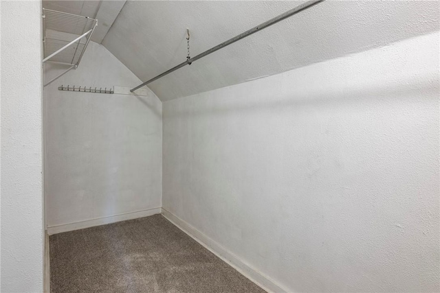 19574 Sonora Rd, Springdale, AR 72764 - spacious closet with vaulted ceiling and carpet flooring