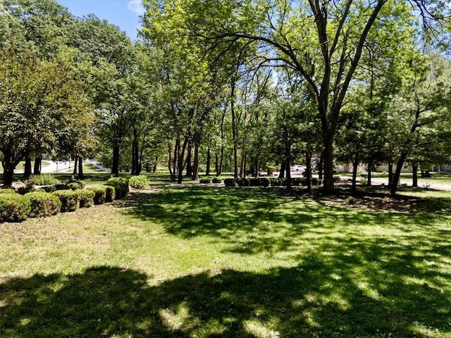 1325 Avery Pl, Siloam Springs, AR 72761 - view of home's community with a lawn