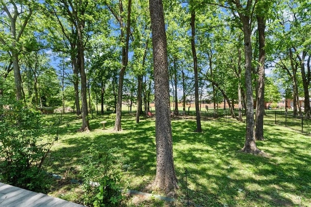 1325 Avery Pl, Siloam Springs, AR 72761 - view of yard