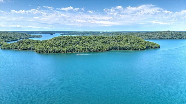 289 County Road 1521, Eureka Springs, AR 72632 - bird's eye view of a forest and a large body of water