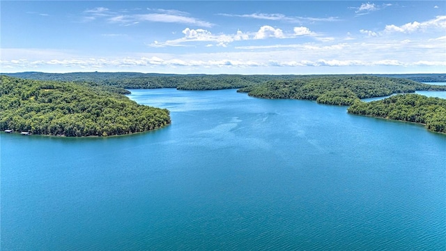 289 County Road 1521, Eureka Springs, AR 72632 - bird's eye view of a large body of water and a heavily wooded area