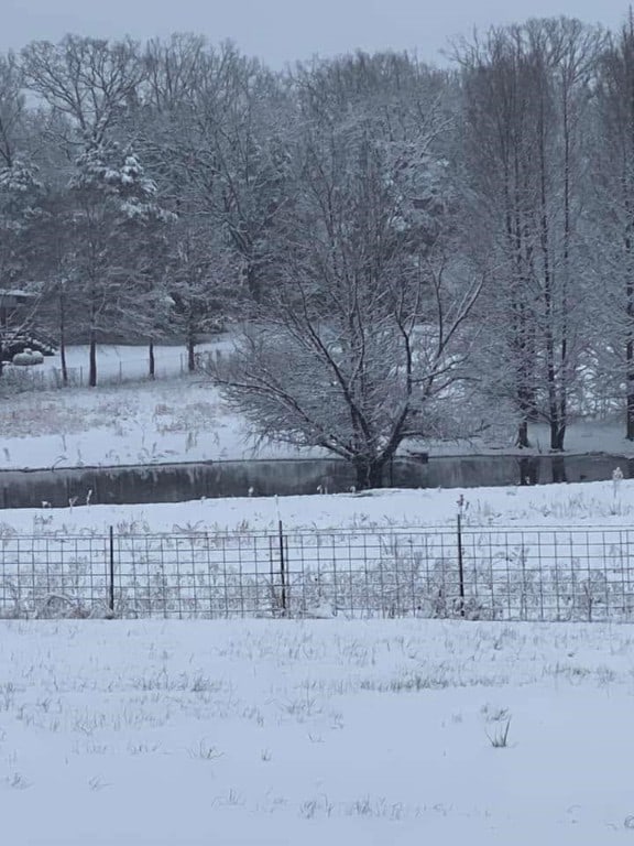 12088 State Highway 28, Dardanelle, AR 72834 - view of yard covered in snow