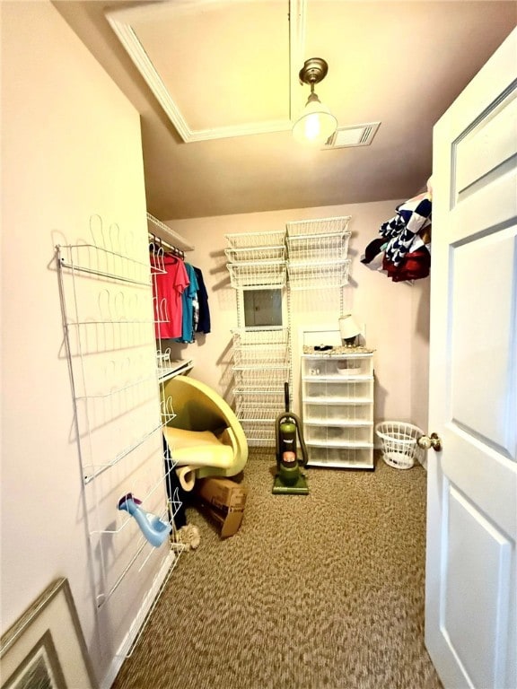 12088 State Highway 28, Dardanelle, AR 72834 - walk in closet with carpet flooring