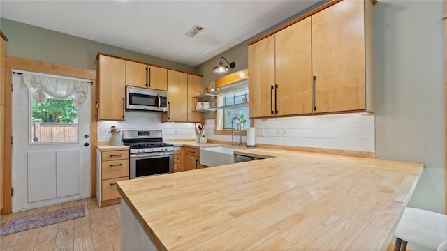 1806 Best Friend Ln, Fayetteville, AR 72704 - kitchen with appliances with stainless steel finishes, a sink, a peninsula, and healthy amount of natural light