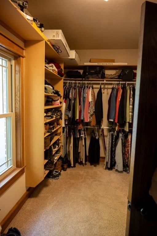 8295 Ridgecrest Ln, Rogers, AR 72756 - walk in closet with carpet floors