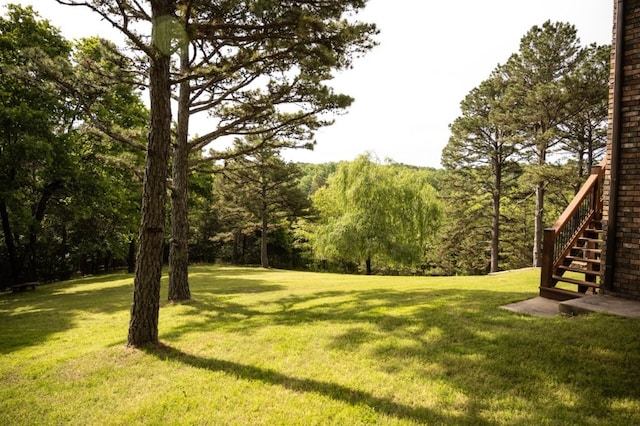 8295 Ridgecrest Ln, Rogers, AR 72756 - view of green lawn with stairs and a view of trees