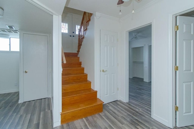 1103 NW 10th St, Bentonville, AR 72712 - staircase with wood finished floors, healthy amount of natural light, ceiling fan, and crown molding