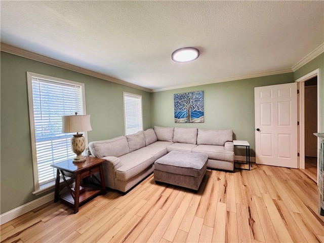 904 Deerfield Ct, Russellville, AR 72801 - living area featuring crown molding, light wood-style flooring, plenty of natural light, baseboards, and a textured ceiling