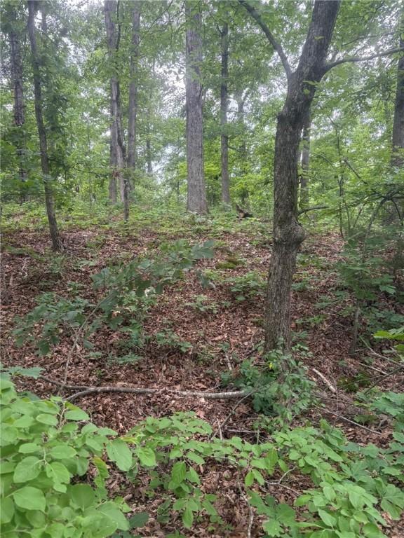 Gainford Dr, Bella Vista, AR 72714