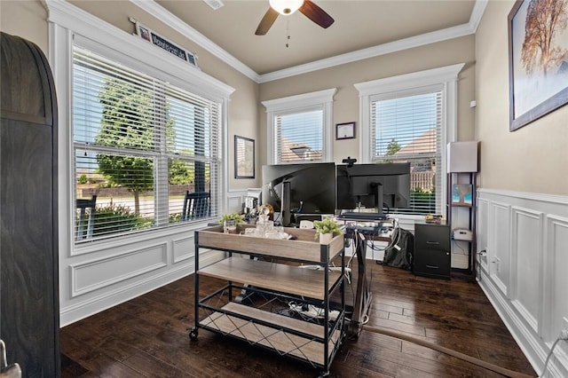 6401 S 47th St, Rogers, AR 72758 - office area with ceiling fan, a decorative wall, dark wood-style floors, crown molding, and healthy amount of natural light