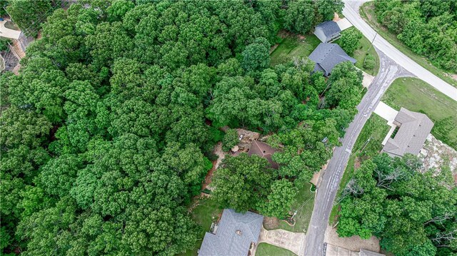 6 Runnymede Ln, Bella Vista, AR 72715 - photo 26