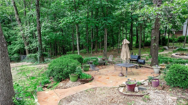 6 Runnymede Ln, Bella Vista, AR 72715 - view of yard with a patio area