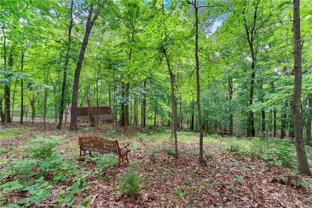6 Runnymede Ln, Bella Vista, AR 72715 - photo 23