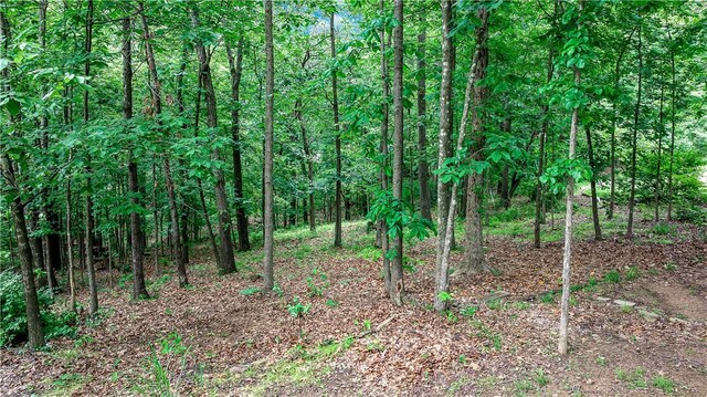 6 Runnymede Ln, Bella Vista, AR 72715 - photo 24