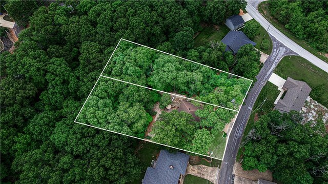 6 Runnymede Ln, Bella Vista, AR 72715 - photo 29