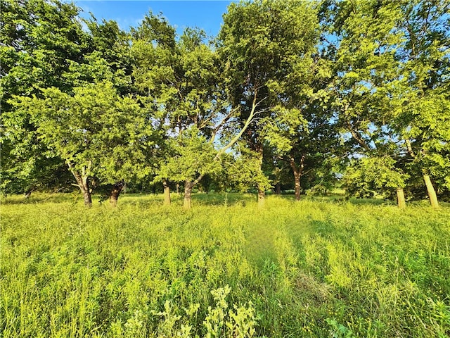 5ACRES 001-08488-000 Wedington Blacktop Rd, Prairie Grove, AR 72753