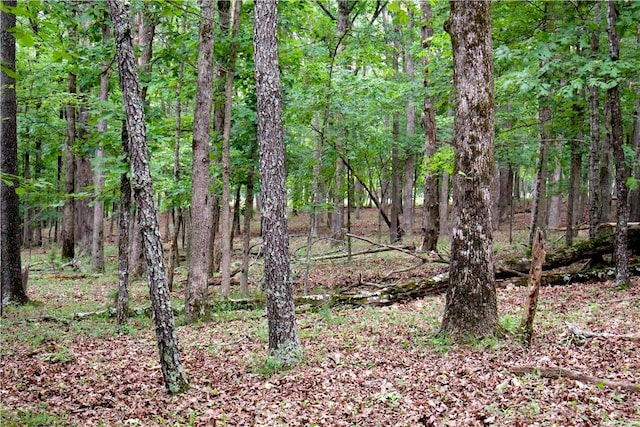 TBD Madison 5310, Witter, AR 72776