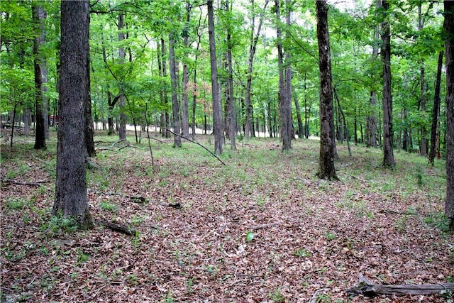 TBD Madison 5310, Witter, AR 72776