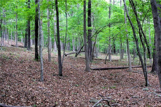 TBD Madison 5310, Witter, AR 72776