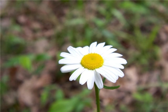 TBD Madison 5310, Witter, AR 72776