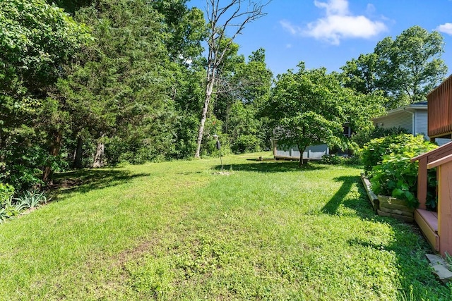 4 Wincanton Ln, Bella Vista, AR 72715 - view of grassy yard