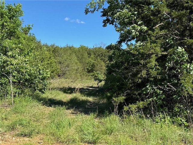 TBD Sonny Ln, Lead Hill, AR 72644 - photo 1