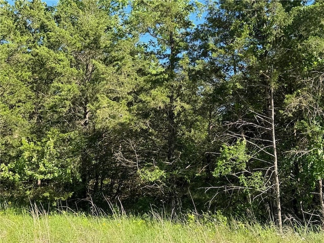 TBD Sonny Ln, Lead Hill, AR 72644 - photo 2