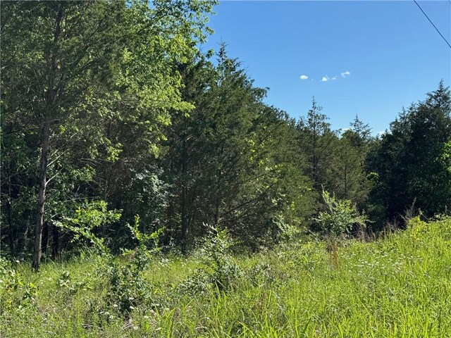 TBD Sonny Ln, Lead Hill, AR 72644 - photo 3